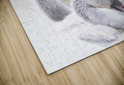 Nid douillet Diane Dube puzzle