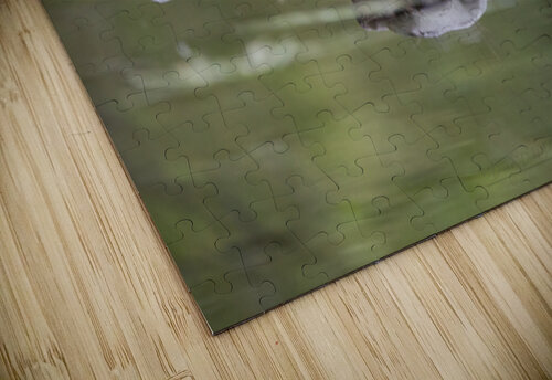 Effet miroir Diane Dube puzzle