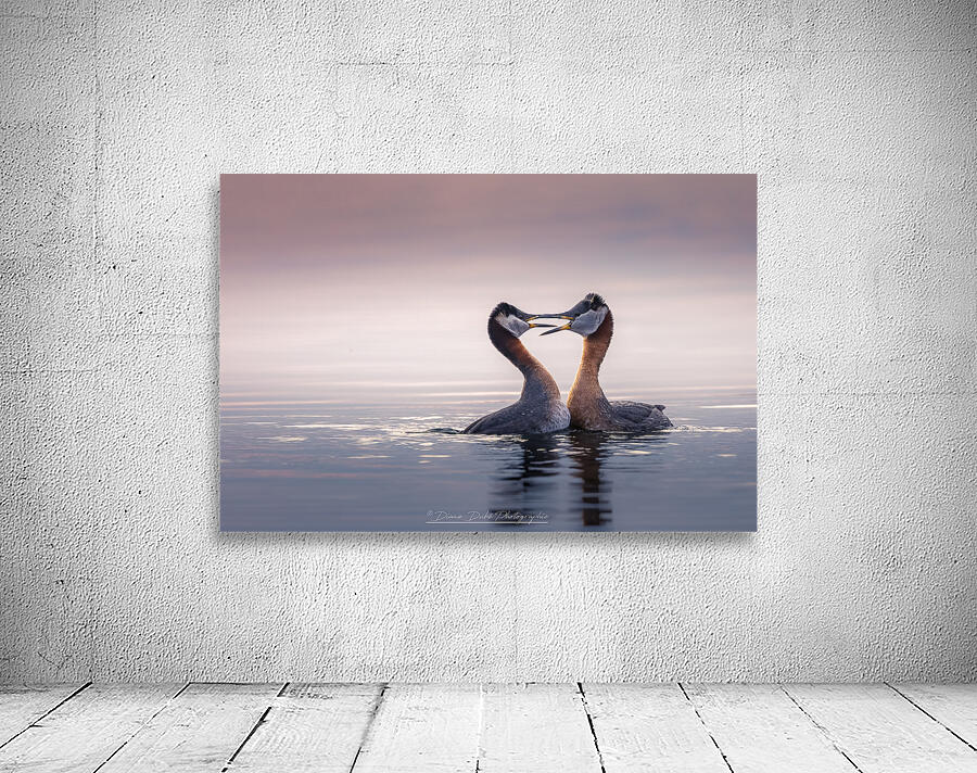 Ballet Wall Preview