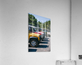 SF1A1004 Acrylic Print