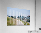 SF1A1091 Acrylic Print