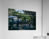 SF1A1011 Acrylic Print