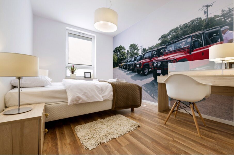 4J3A6709 Mural print
