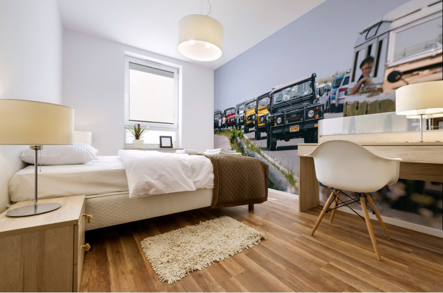 SF1A6812 Mural print