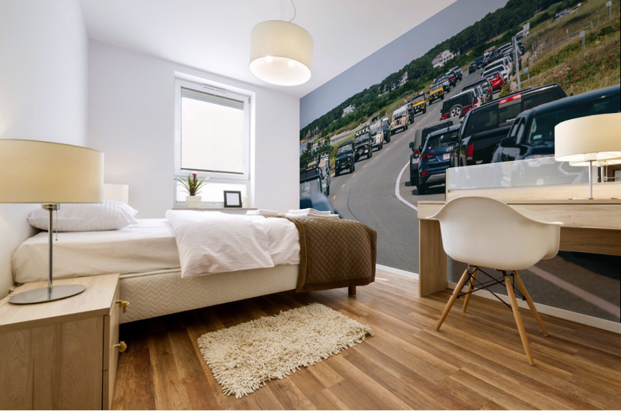 SF1A6666 Mural print