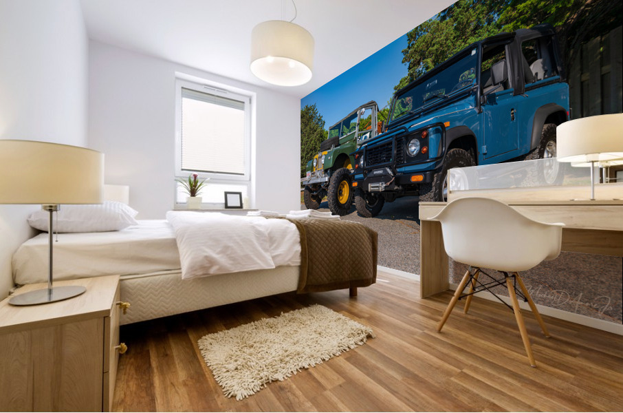 MJD05523 Mural print