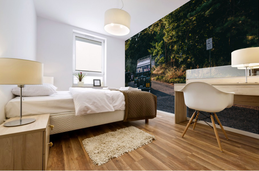 4J3A2601 Mural print
