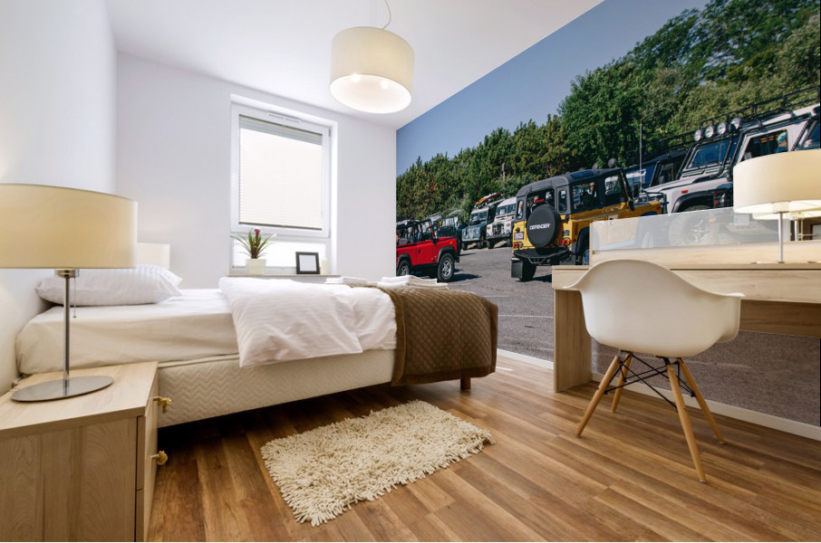 SF1A0880 Mural print