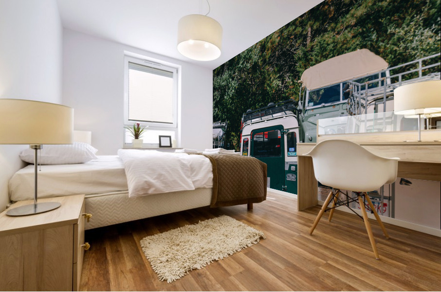 SF1A0959 Mural print