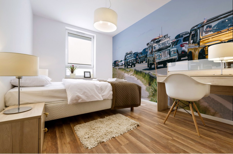 SF1A1089 Mural print