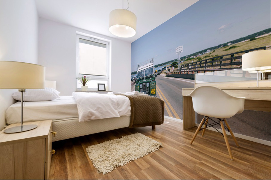 SF1A1047 Mural print