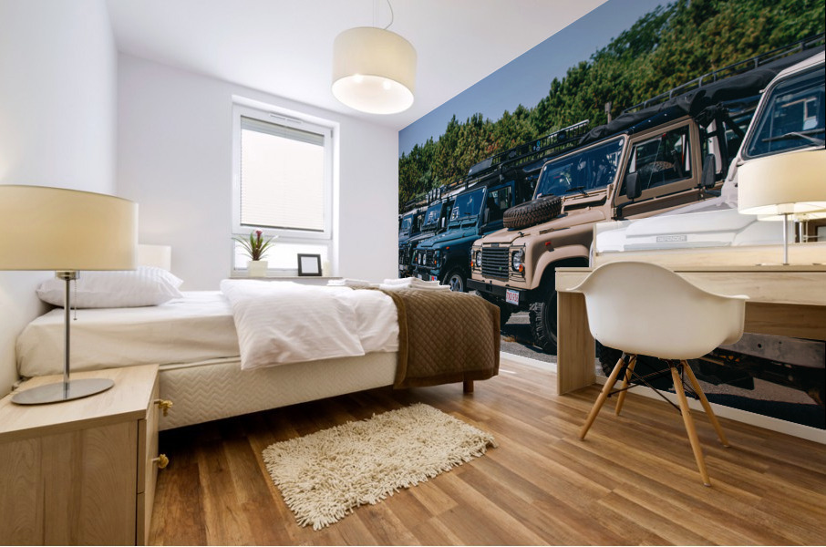 SF1A0998 Mural print