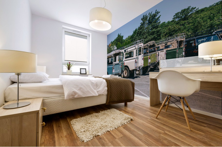 SF1A0991 Mural print