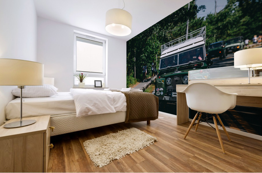 SF1A1016 Mural print