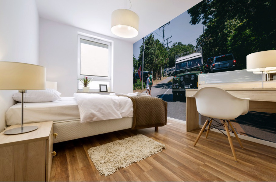 SF1A1005 Mural print