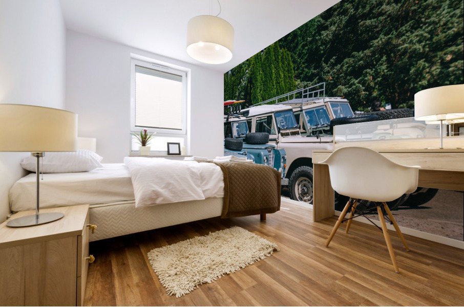 SF1A0982 Mural print