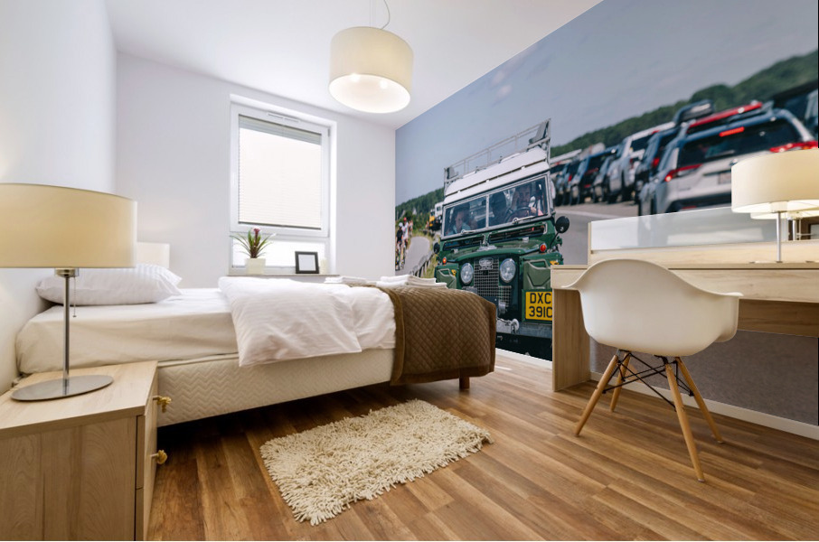 SF1A1041 Mural print
