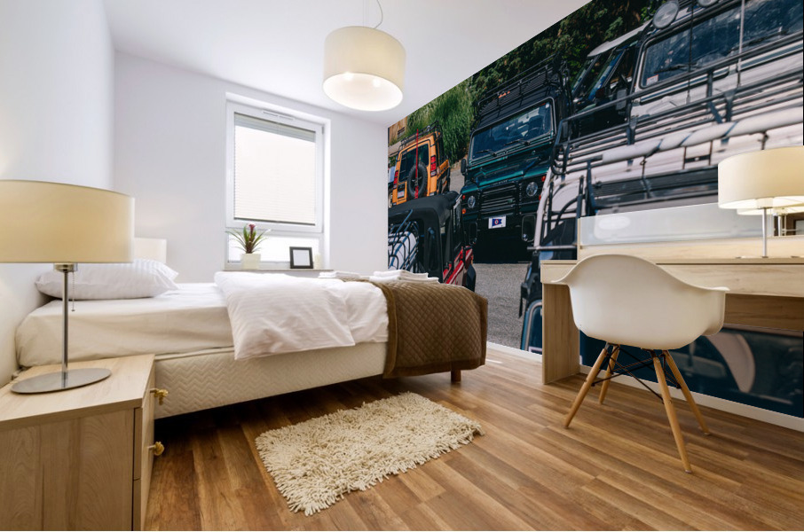 SF1A0971 Mural print