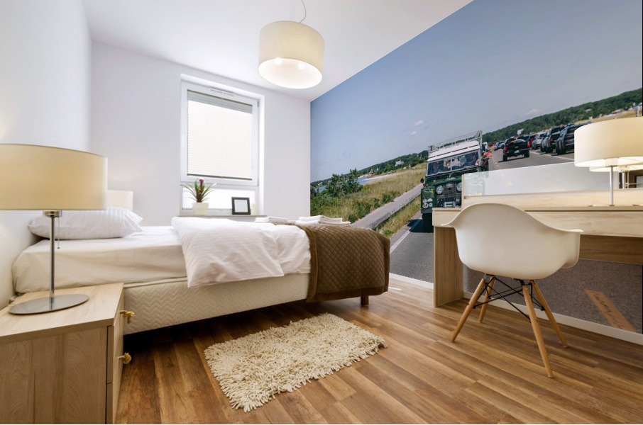 SF1A1035 Mural print