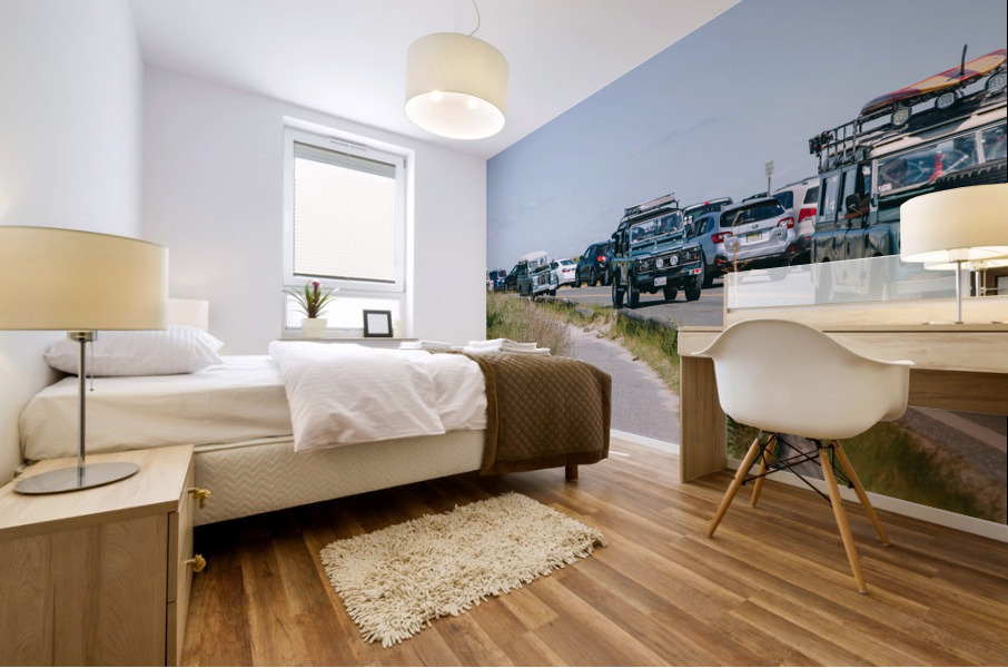 SF1A1091 Mural print