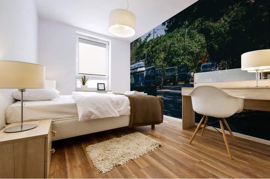 SF1A1011 Mural print