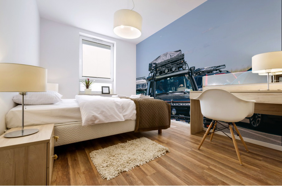 SF1A1123 Mural print