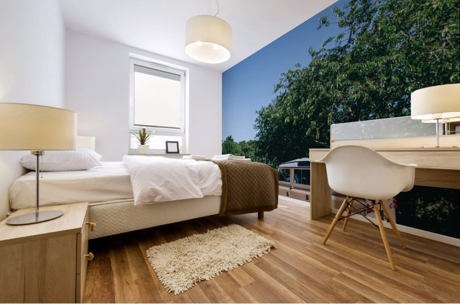 4J3A2894 Mural print