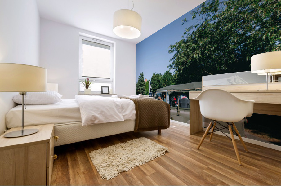 4J3A2816 Mural print