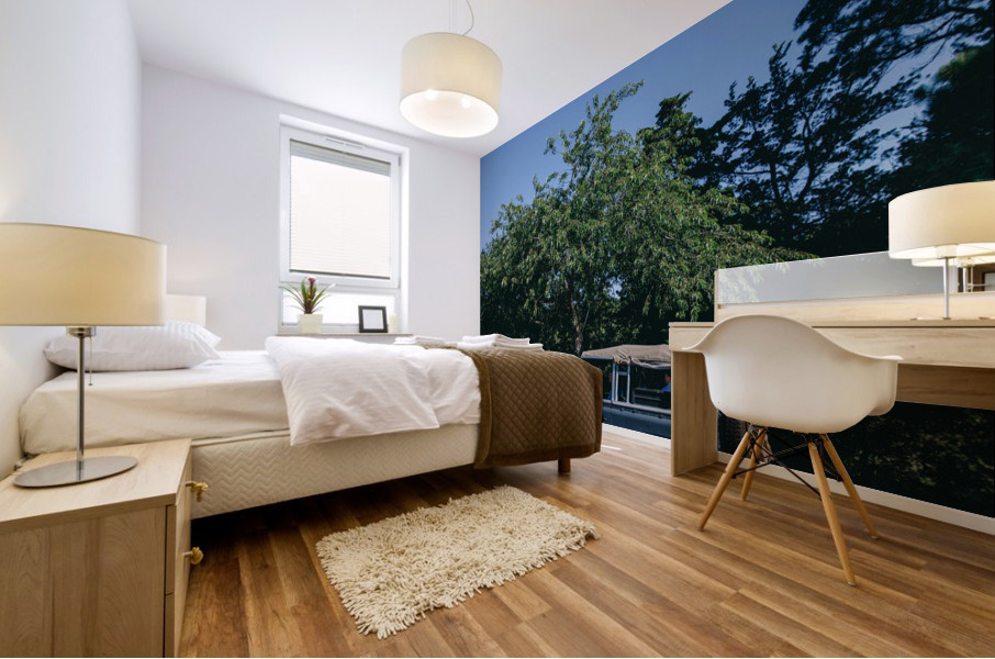 4J3A2929 Mural print
