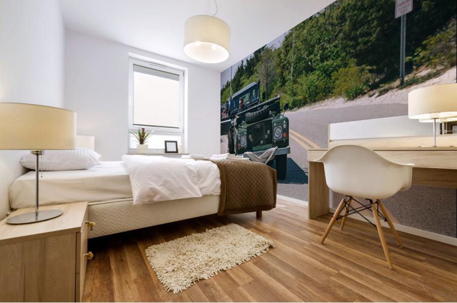 SF1A9434 Mural print