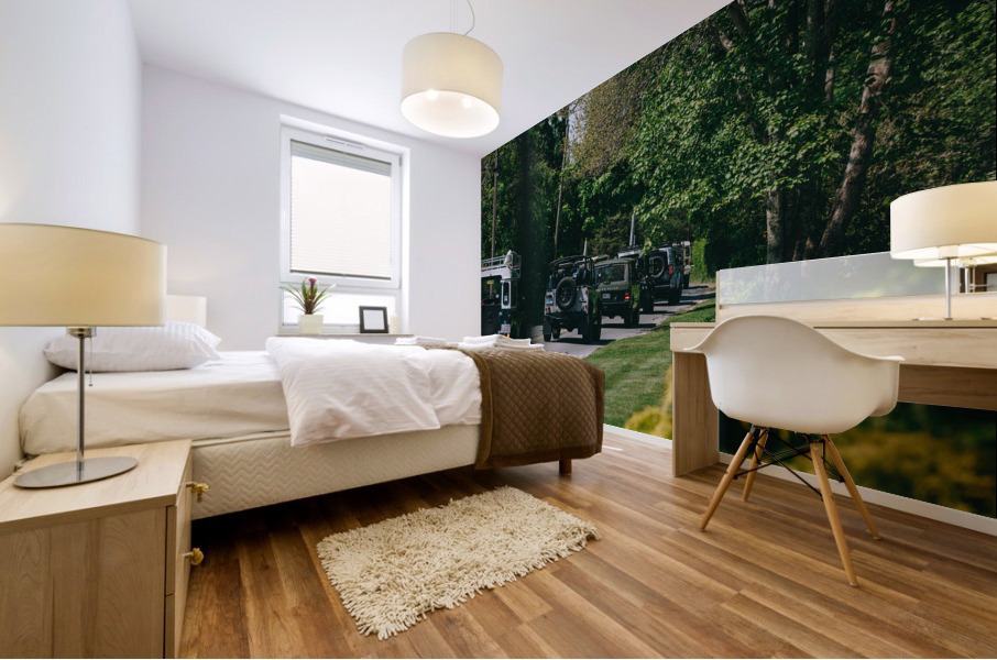 SF1A9386 Mural print