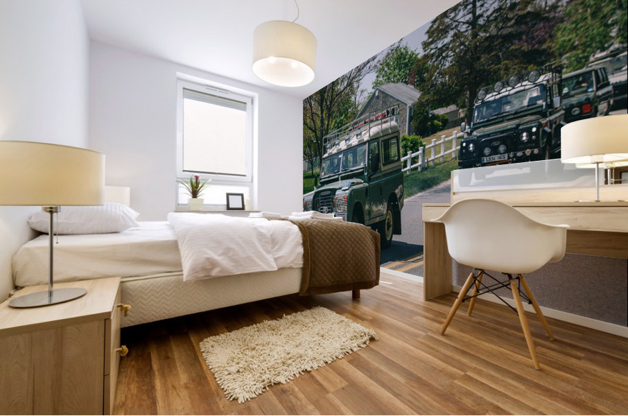 SF1A9519 Mural print
