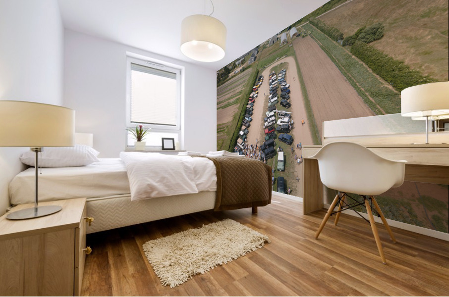 1 5 2 Mural print