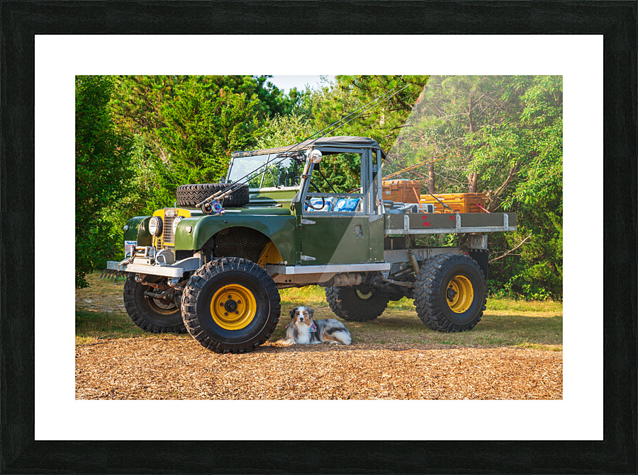 The Vineyard Series Picture Frame print