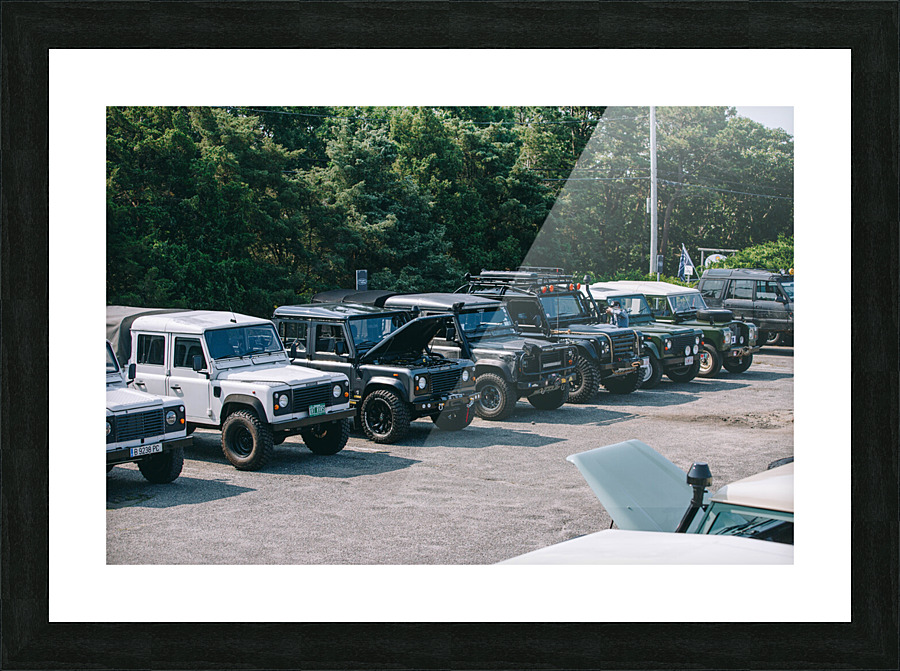 SF1A6506 Picture Frame print