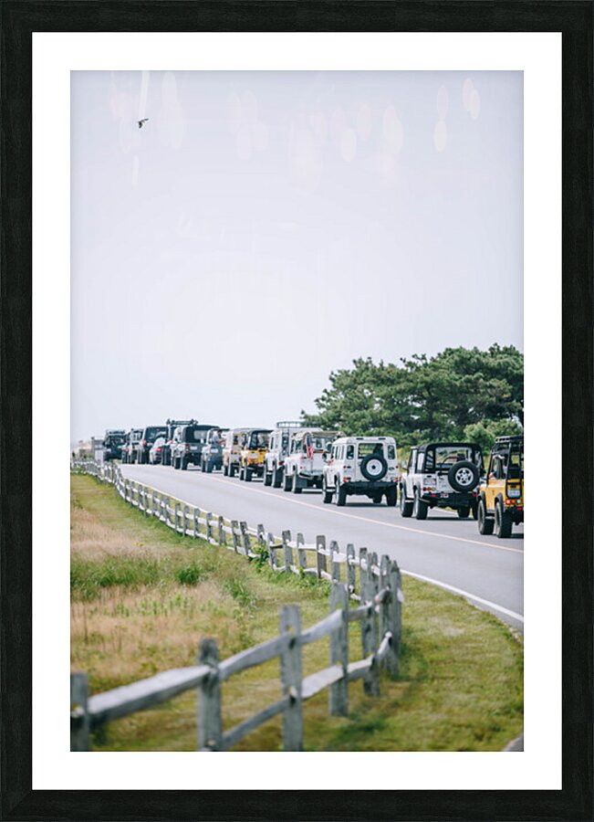 SF1A7042 Picture Frame print