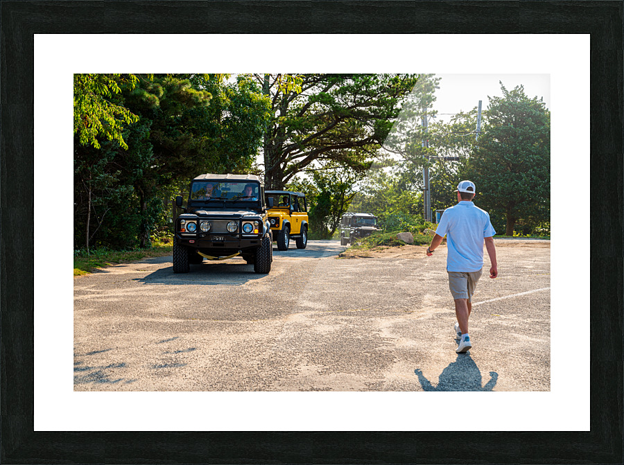 MJD06160 Picture Frame print