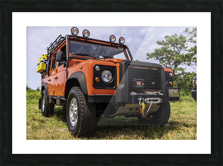 MJD06395 Picture Frame print