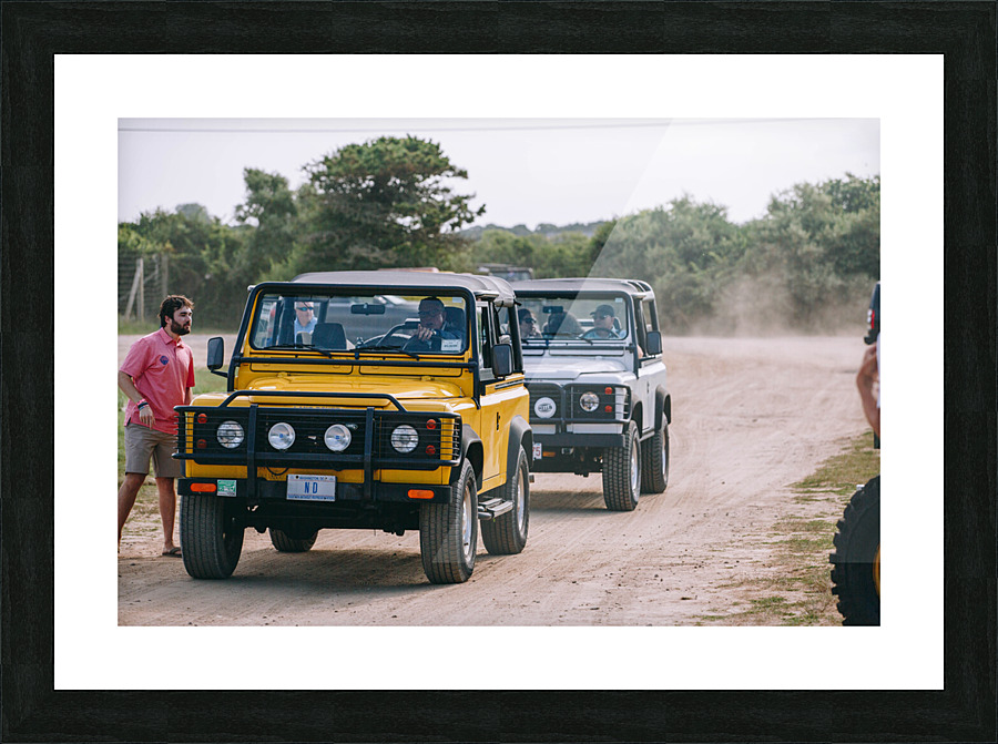SF1A0141 Picture Frame print