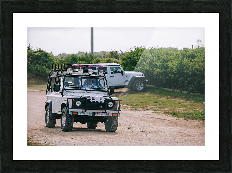 SF1A0122 Picture Frame print