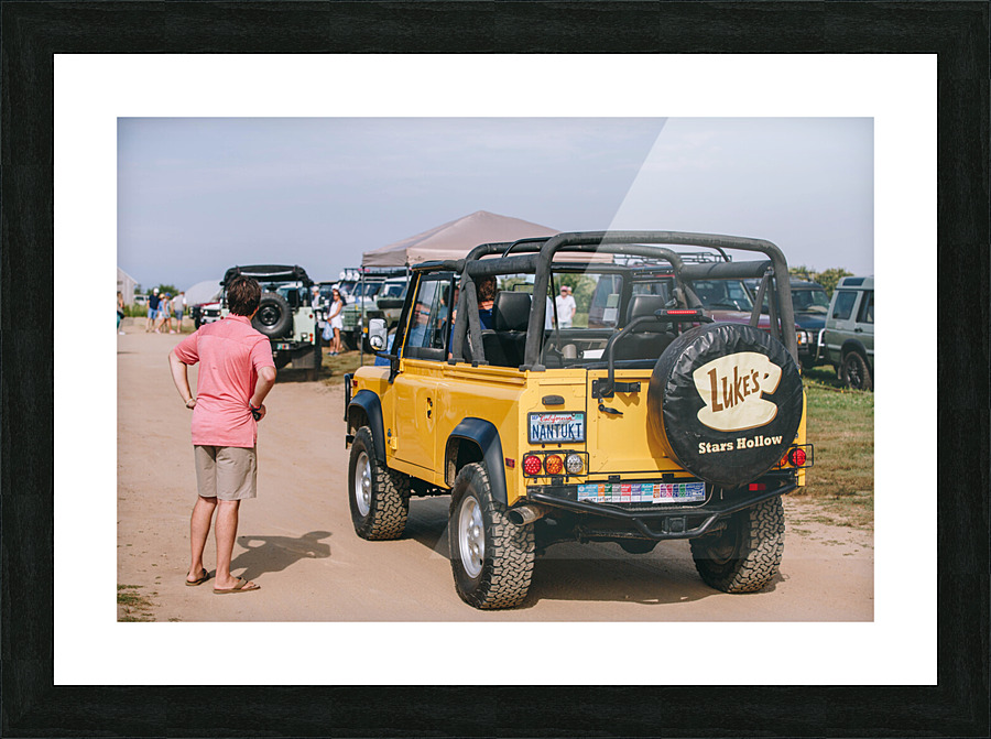 SF1A0206 Picture Frame print