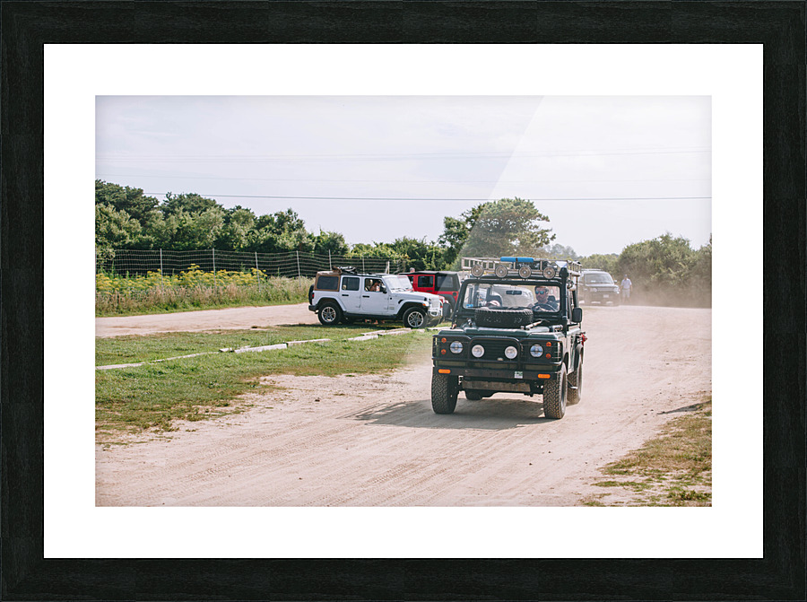 SF1A0231 Picture Frame print