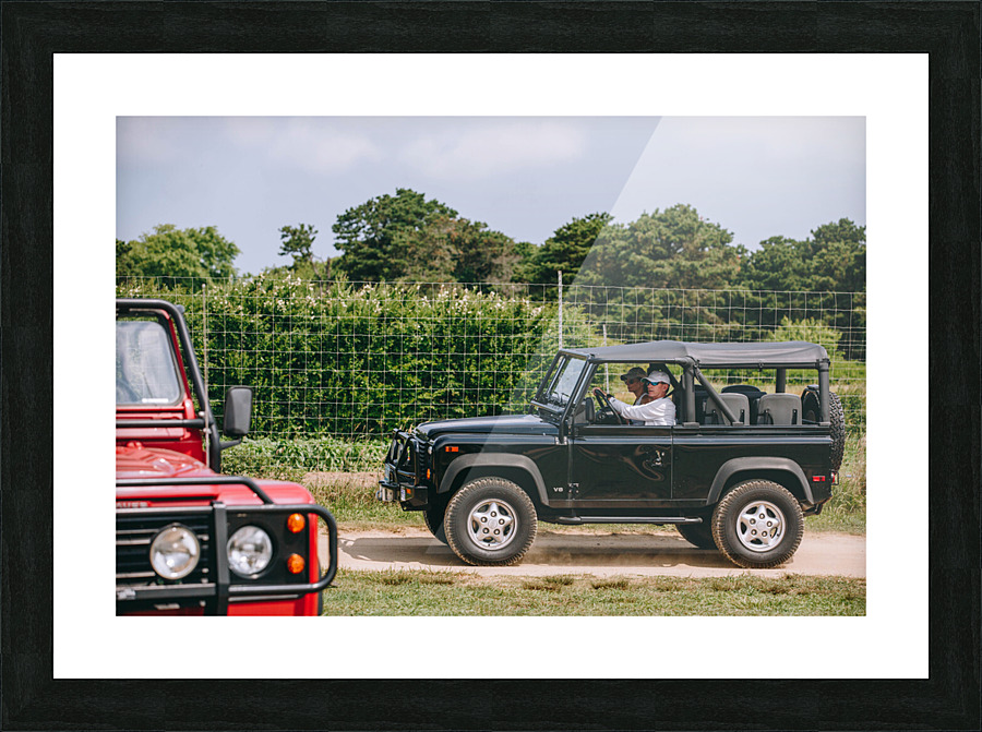 SF1A0535 Picture Frame print