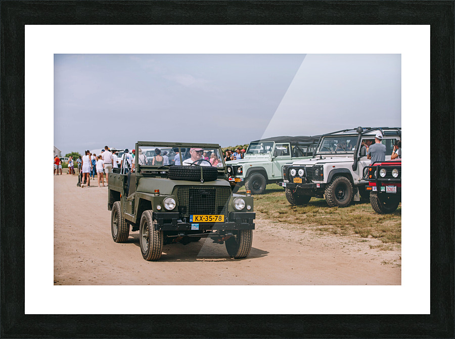 SF1A0524 Picture Frame print