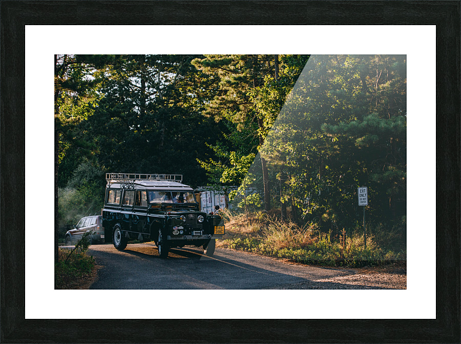 4J3A2600 Picture Frame print