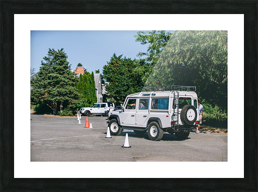 SF1A0797 Picture Frame print