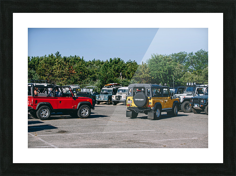 SF1A0880 Picture Frame print