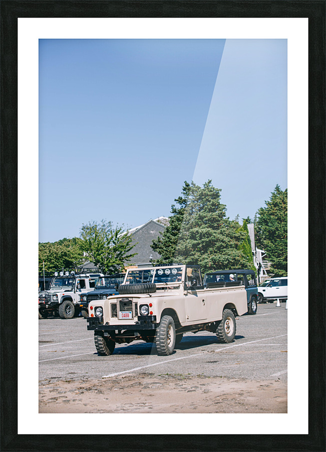 SF1A0865 Picture Frame print