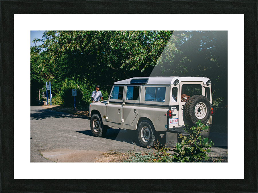 SF1A0801 Picture Frame print