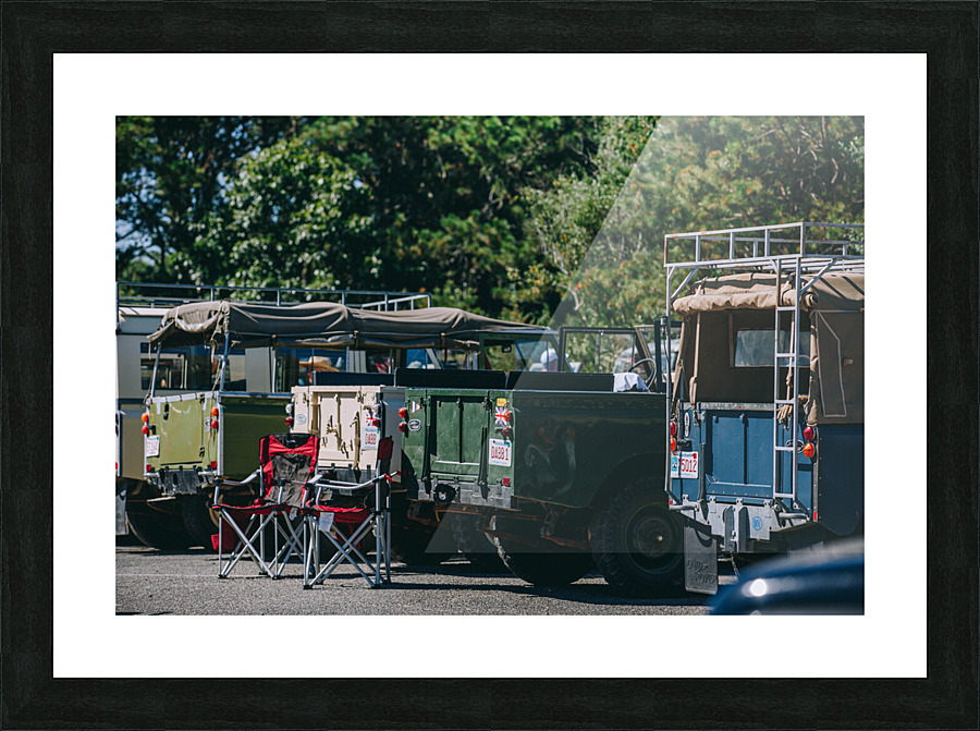 SF1A0954 Picture Frame print